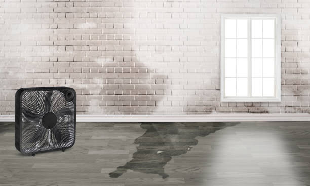 Best 24-hour water damage restoration  in Beloit, WI