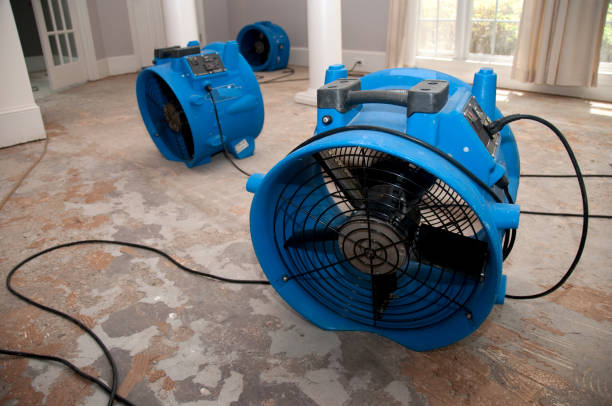 Best Water damage restoration near me  in Beloit, WI