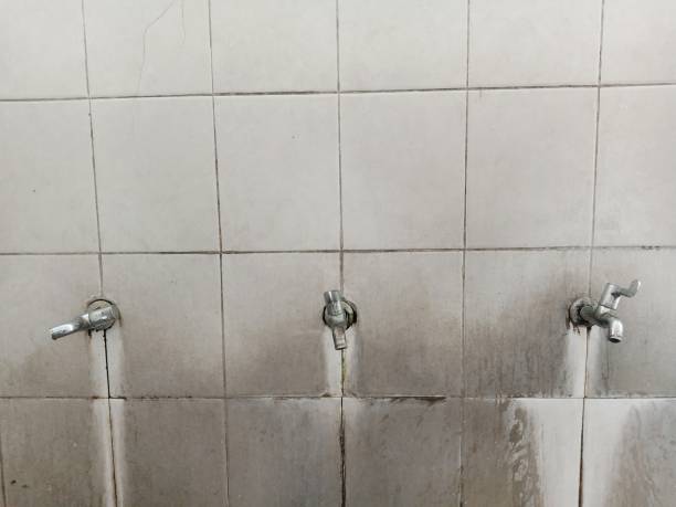 Best Flooded house restoration  in Beloit, WI