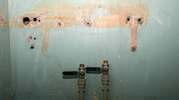 Best Carpet water damage restoration  in Beloit, WI