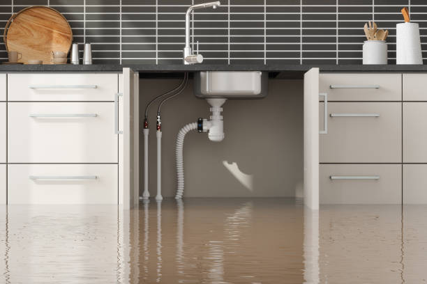 Best Local water damage restoration  in Beloit, WI