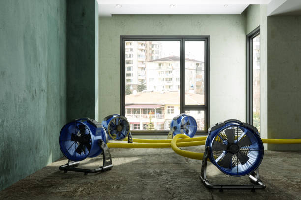 Best Professional water damage repair  in Beloit, WI